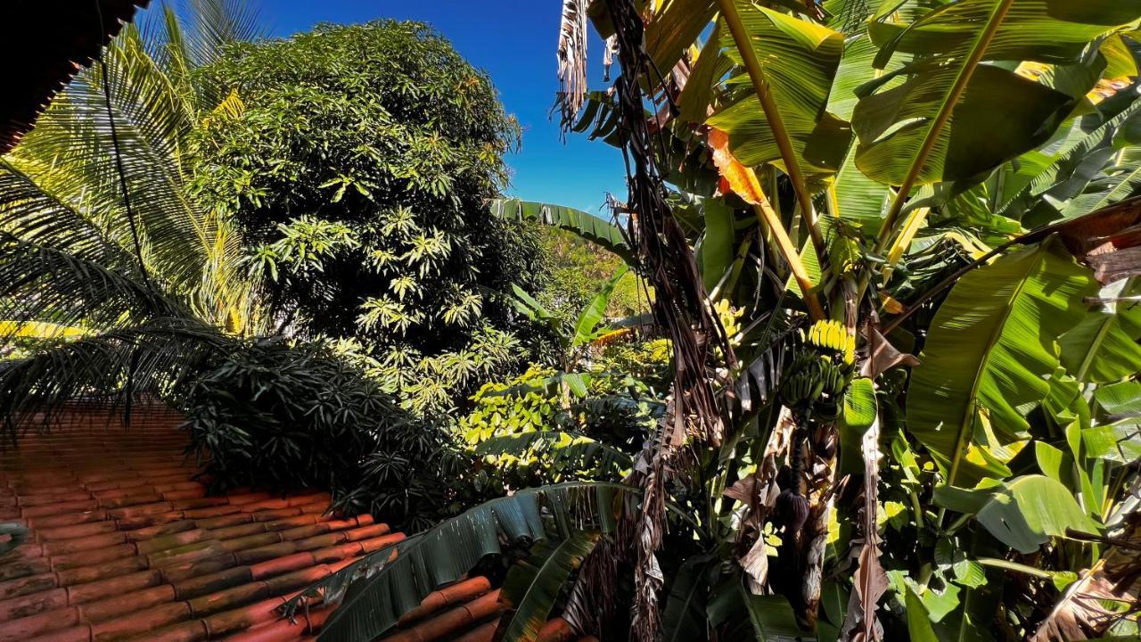 Pura Vida Surf House Hotel Бара Гранде Екстериор снимка